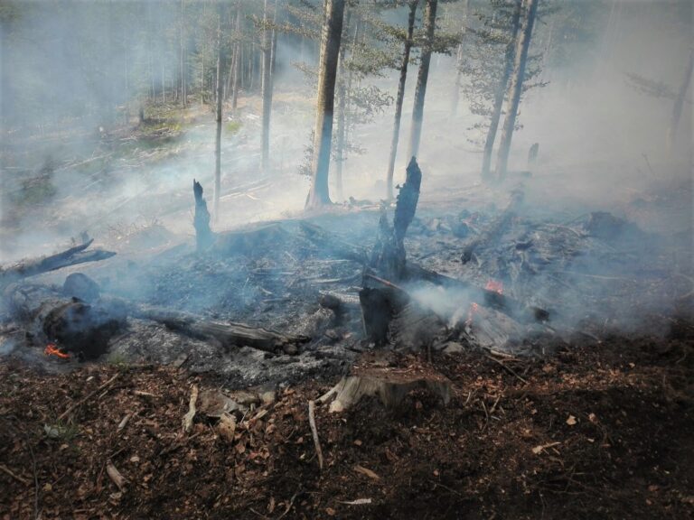 Romsilva atrage atenția asupra incendiilor provocate de arderea miriștilor