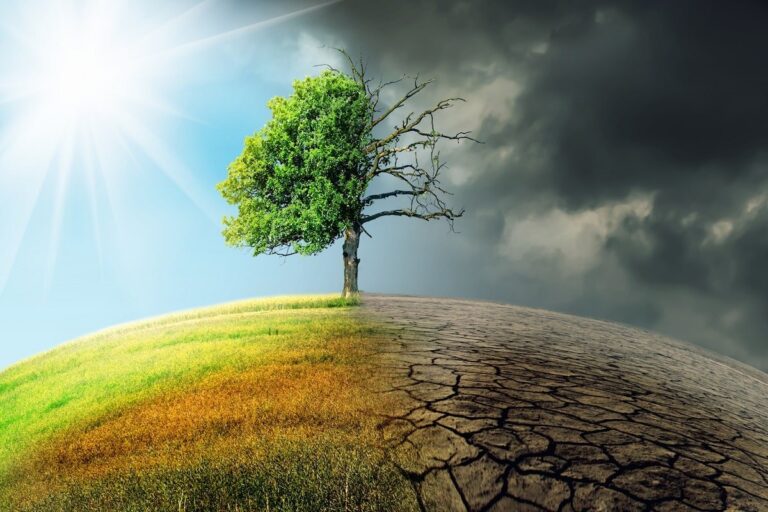 Măsuri prevăzute în PNRR pentru tranziția verde