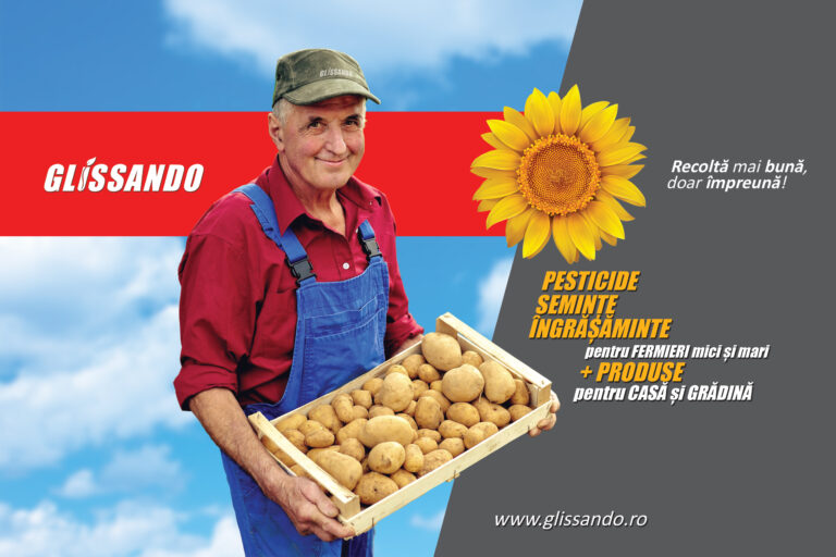 Finanțare de la EximBank pentru Glissando SRL