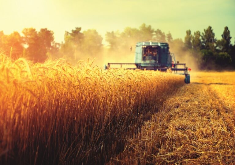 Patria Bank: APIA SAPS Plus este noul produs de finanțare care oferă agricultorilor până la 160% finanțare din adeverința APIA
