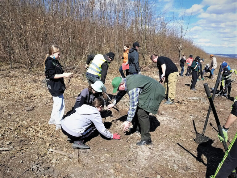 Romsilva în Luna Plantării Arborilor 2022