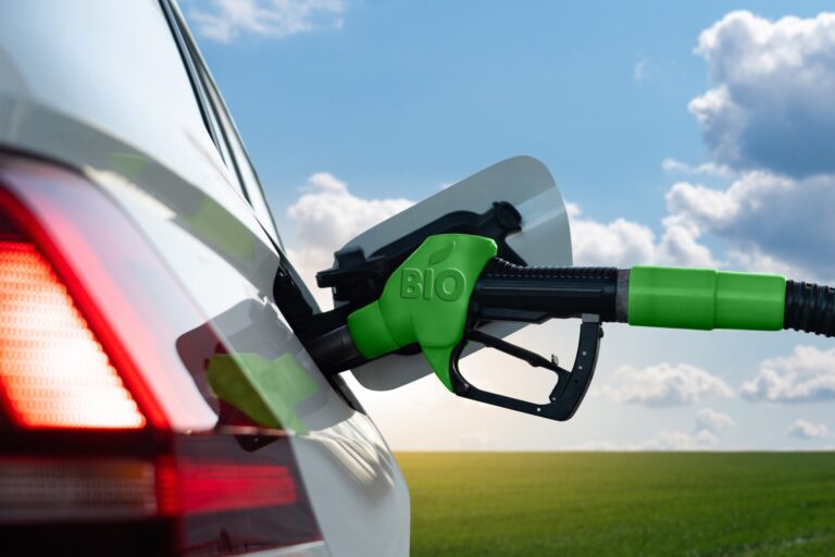 Principii şi strategii eficiente de colectare, procesare şi valorificare a uleiului alimentar uzat. Concluziile dezbaterii online „Valorificarea Uleiului alimentar uzat – situația actuală și potențialul de colectare în România”