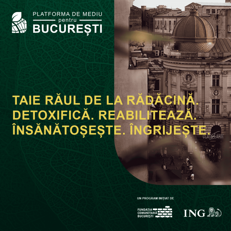 Toaletarea corectă a arborilor din Capitală dă startul unui parteneriat între Platforma de Mediu pentru București și Direcția de Mediu a PMB
