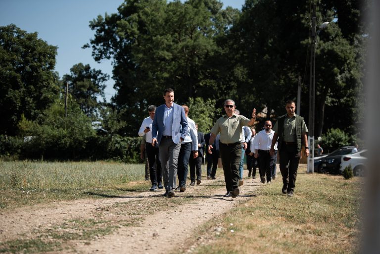 56.000 ha, împăduriri până în 2026