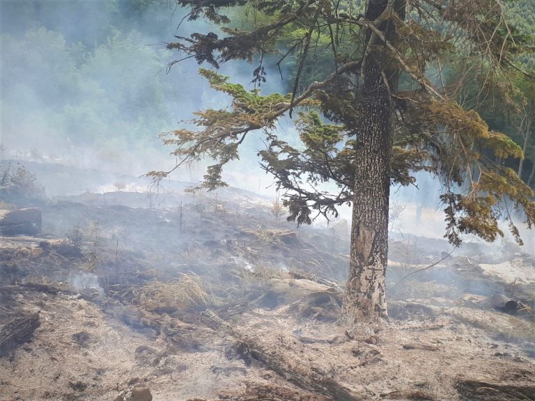 Incendii în fondul forestier administrat de Romsilva