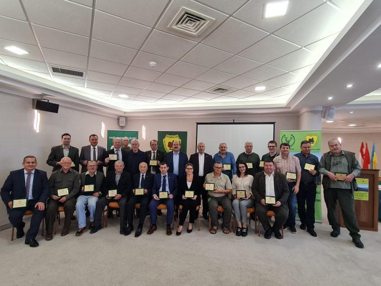 Pădurile, schimbările climatice și criza energetică