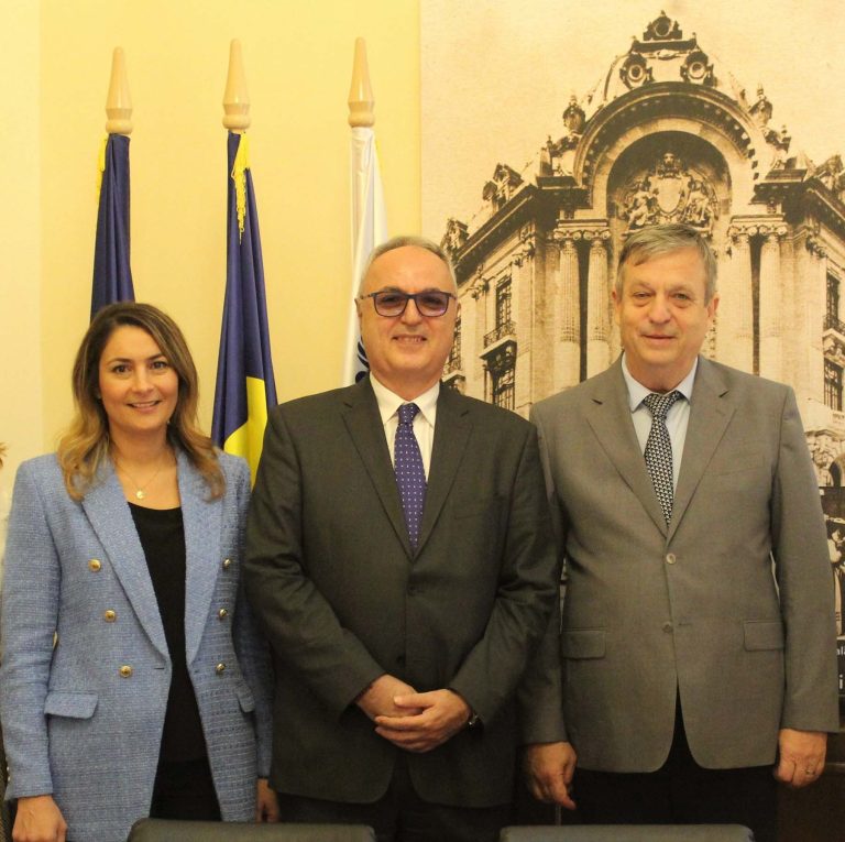 Dezvoltarea colaborării economice româno-elene