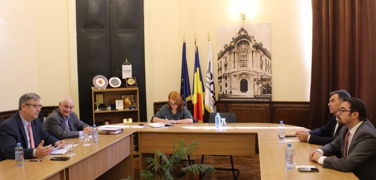 Oportunități de internaționalizare a afacerilor pentru companiile românești