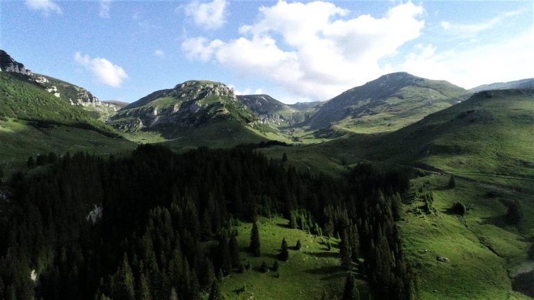 Împăduriri contra schimbări climatice