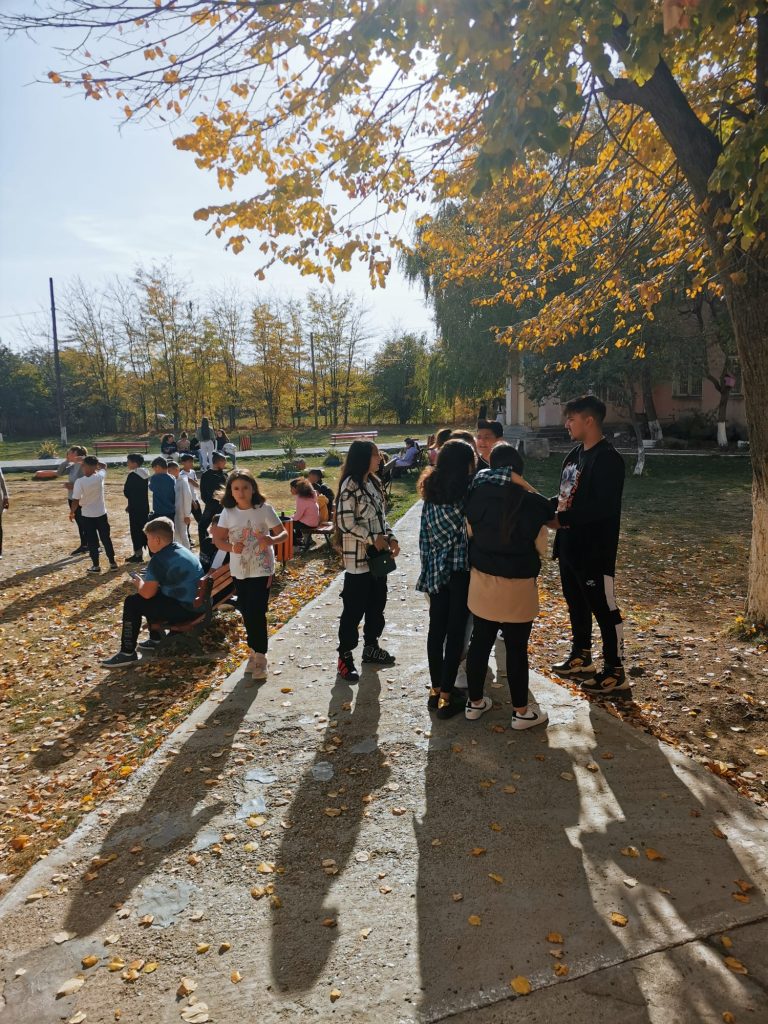 Sprijin pentru integrare socială