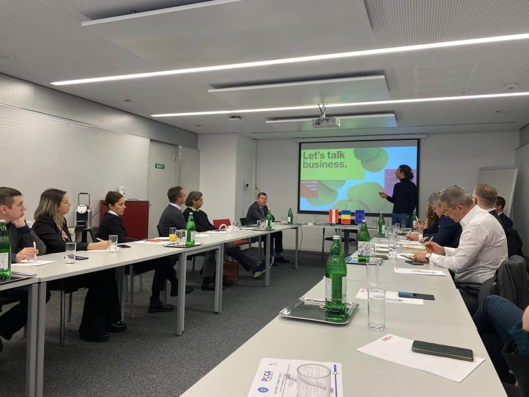 Bune practici în atragere de investiții și promovare a exporturilor