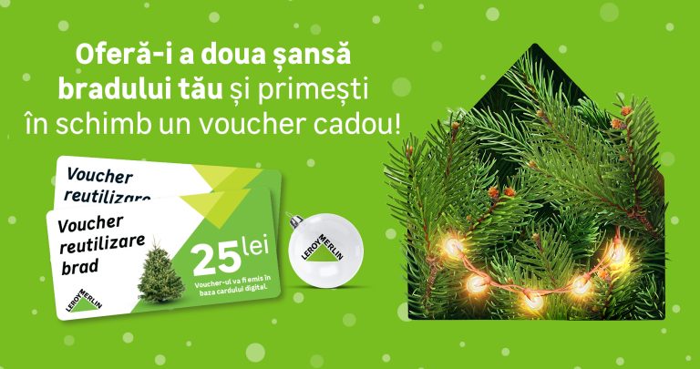 Vânzare sustenabilă a brazilor naturali de Crăciun 