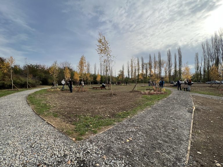 Parc de mesteceni „Plantați în amintire”  