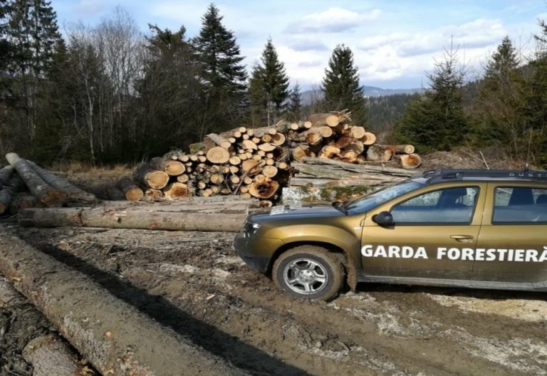 Reglementări la zi pentru personalul Gărzii Forestiere Naționale