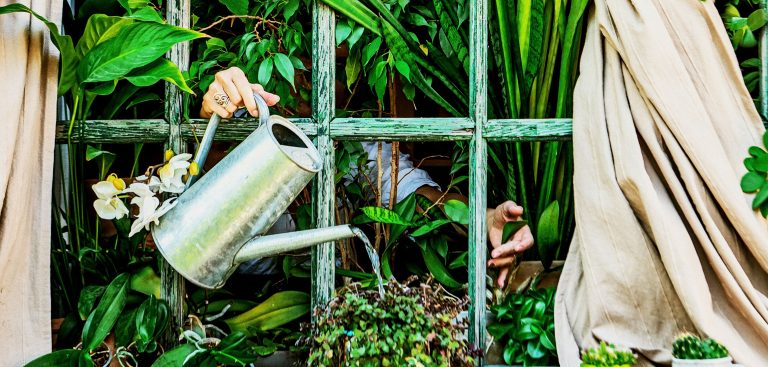 Progrese în domeniul sustenabilității la ING Bank în 2022  