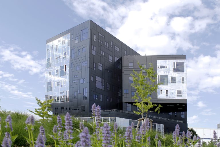 Burse de studiu pentru manageri și antreprenori la WU Executive Academy 