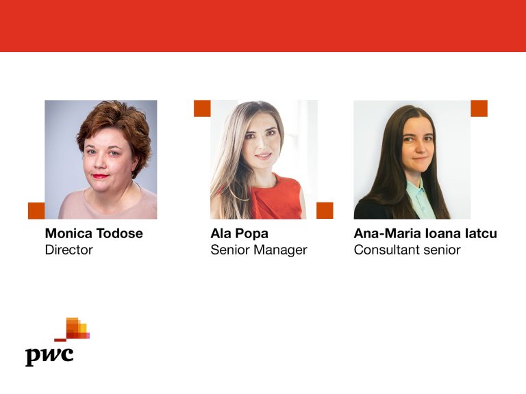 Care sunt provocările pentru companii și administrații fiscale în contextul adoptării unui impozit minim global? 