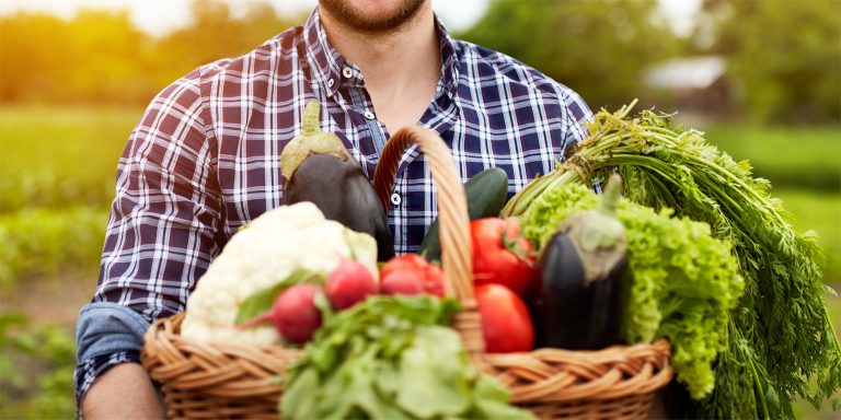 Agri FinTech-ul Tarfin își extinde portofoliul de servicii cu o nouă soluție de finanțare adresată micilor fermieri 