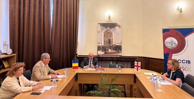Colaborare româno-georgiană în domeniul comercial-economic