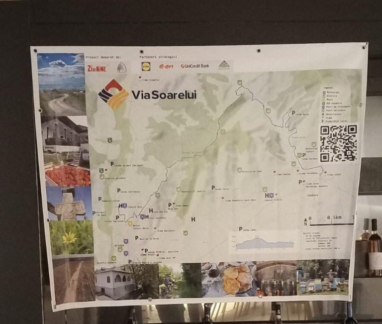 Crame și producători locali pe traseul tematic pentru turiști „Via Soarelui”
