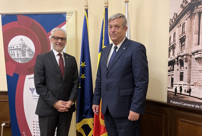 Colaborare de afaceri româno-egipteană