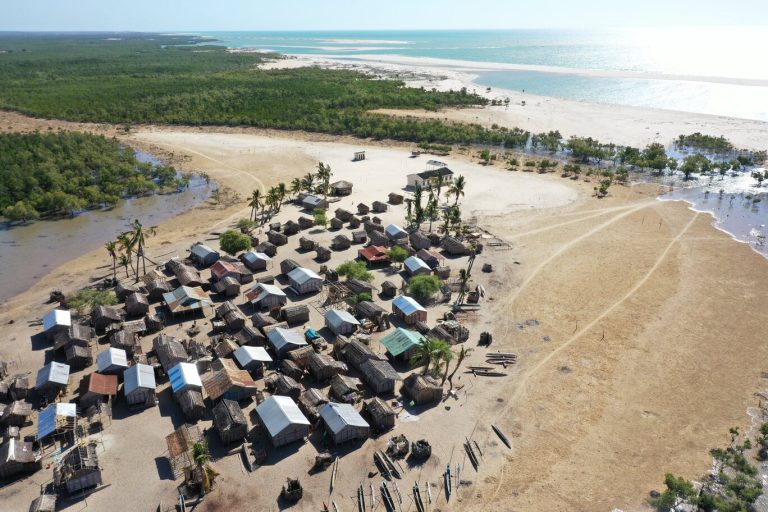 Noi proiecte climatice și de conservare a mediului