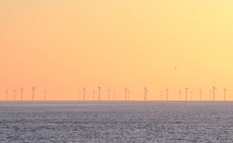 Reacție EPG la planul României pentru dezvoltarea proiectelor de energie eoliană offshore