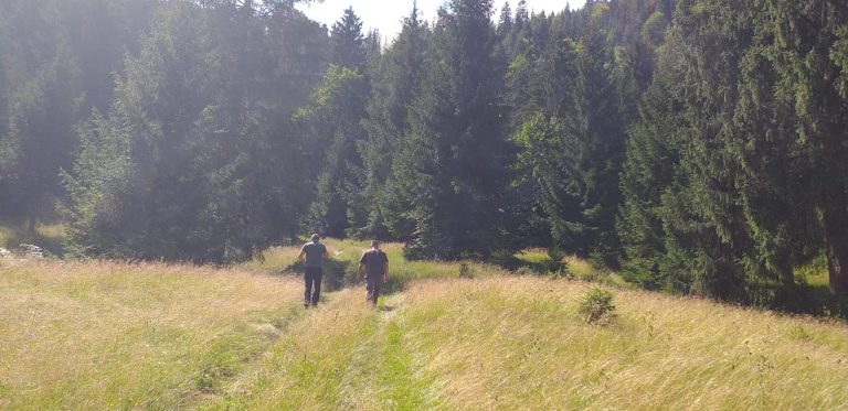 Noul Cod silvic al României în contextul Strategiei naționale pentru păduri 2030