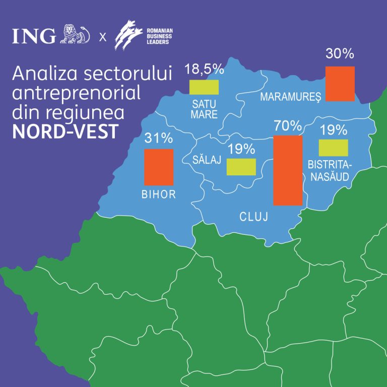 Cele mai mari companii din Regiunea Nord-Vest, 34,2% creștere a cifrei de afaceri în 2022 față de 2021