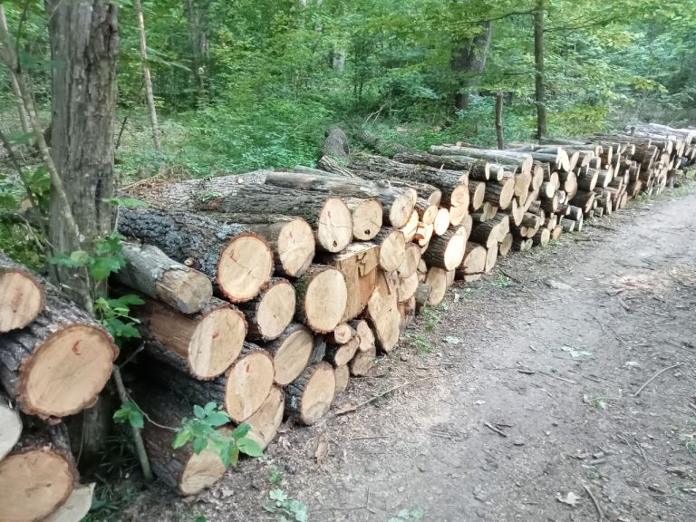 Modificarea SUMAL 2.0 pentru protejarea fondului forestier