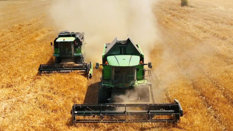 Norofert: marja brută crește la 26% în semestrul I din 2023