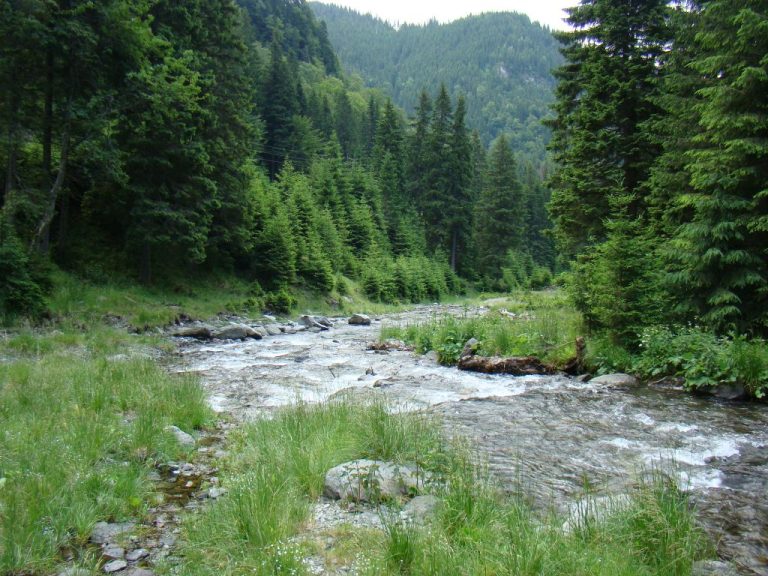 Rezervă suficientă de apă pentru alimentare și energie în tot sezonul friguros