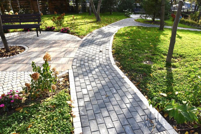 Elis Pavaje, implicare în proiecte pentru dezvoltarea generațiilor viitoare