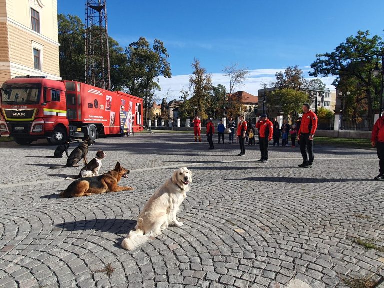 Zilele prevenirii dezastrelor. Cât de pregătiți suntem pentru a preîntâmpina efectele lor?