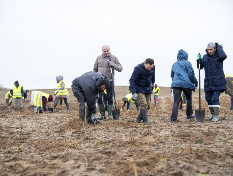 Plantarea primei păduri din nisipurile Olteniei