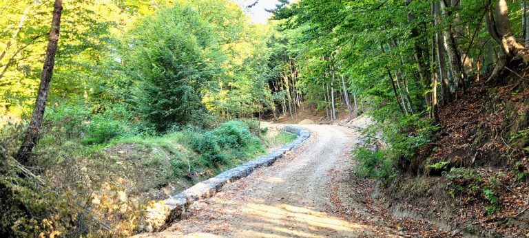 Modernizarea Romsilva prin aplicarea Strategieide Dezvoltare 2030 va duce la creșterea reputației personalului silvic