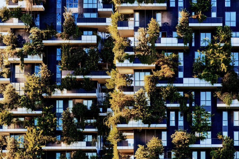 Studiu ING: 83% dintre proprietarii de locuințe din România au luat măsuri pentru îmbunătățirea eficienței energetice a locuințelor, în ultimii 3 ani 