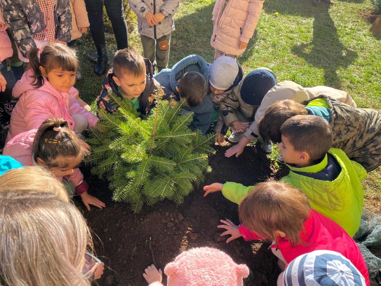 Finanțarea din Fondul pentru mediu a Programului „Săptămâna verde”