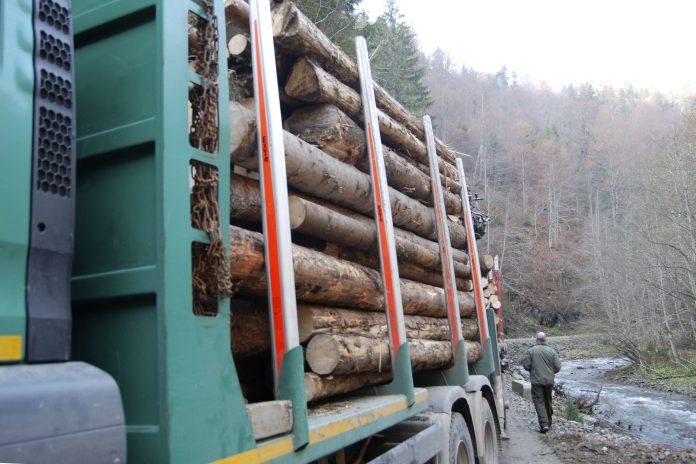 CONTROL - PADURI - ARGES - ANA LUCIA VARGA