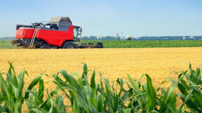 Untitled design - Tarfin - Obiective 2024