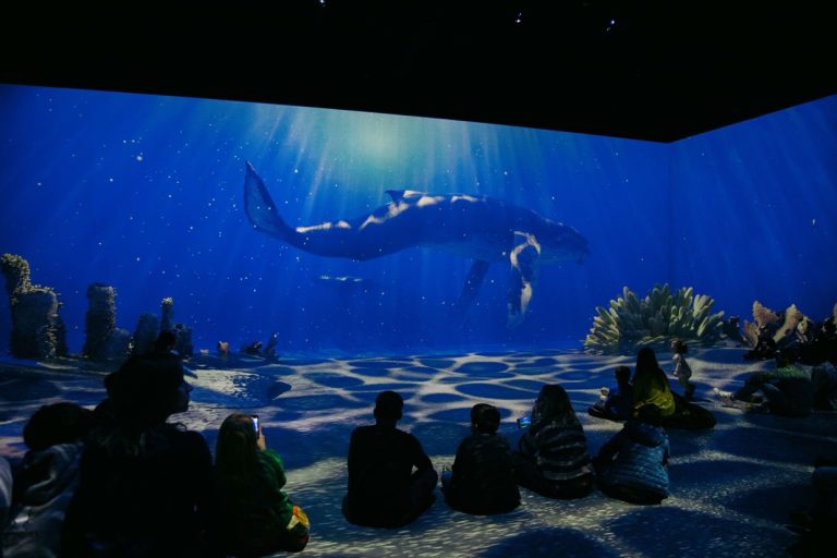 Primul spațiu imersiv din România situat într-un centru comercial