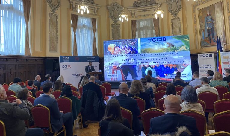 Provocări generate de importul forței de muncă