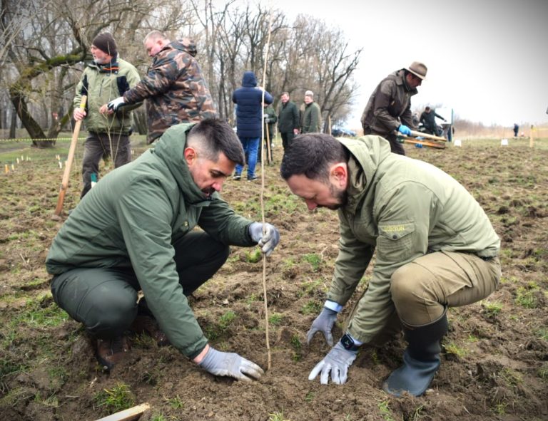 Luna Plantării Arborilor – 15 martie-15 aprilie
