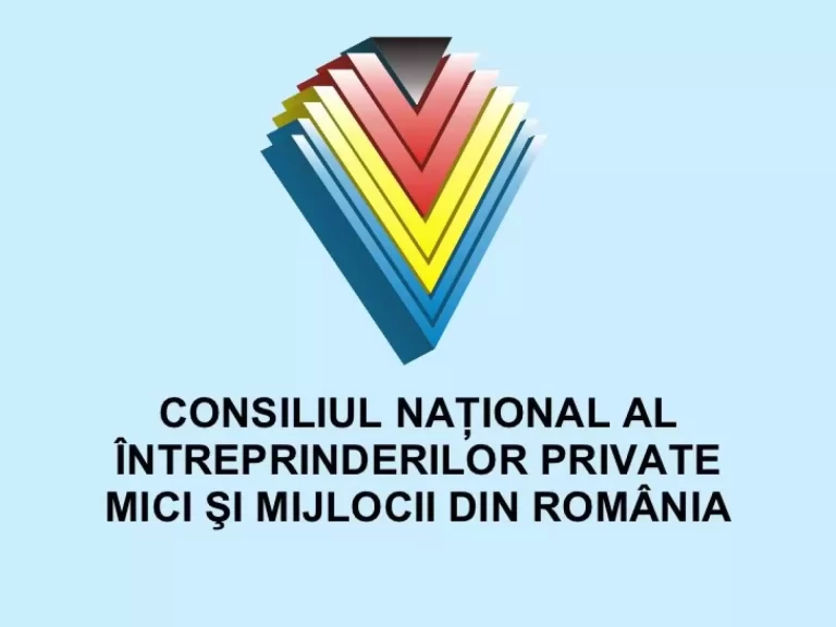 Sondaj privind politica de resurse umane din companiile românești în 2024