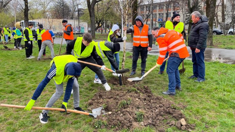 Aprobarea finanțării din Fondul pentru mediu a programului Săptămâna verde