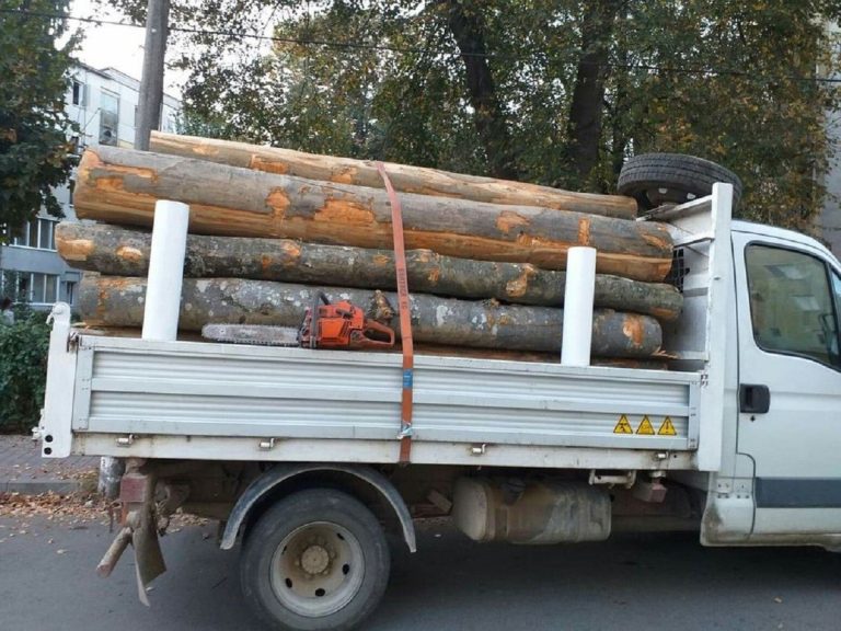 Confiscarea mijloacelor de transport în Codul Silvic, considerată o temă falsă