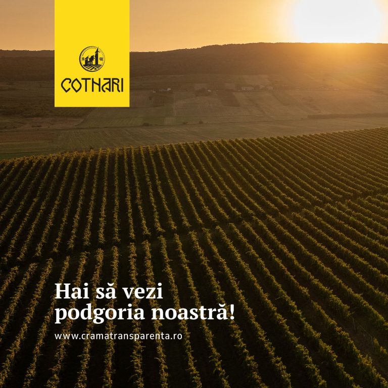 „Crama Transparentă” Cotnari, pentru explorarea tradiției și inovației în producția de vinuri de calitate