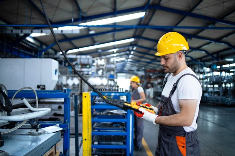INS: Rata de ocupare a populaţiei (15-64 ani) a fost de 63,8% în  2024, în creștere cu 0,8% față de 2023