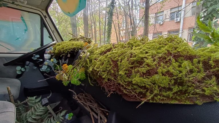 Pădurea din microbuz pentru educație ecologică