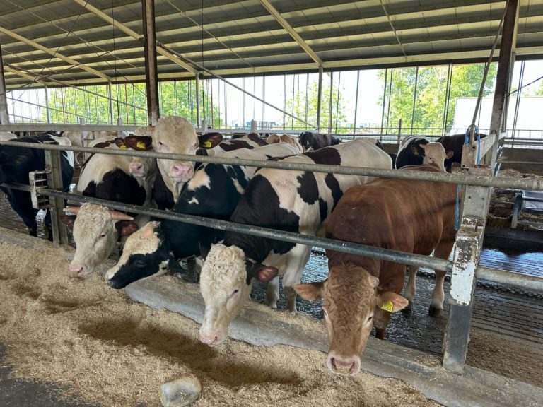 Ferma Baciu, extinsă și sustenabilă